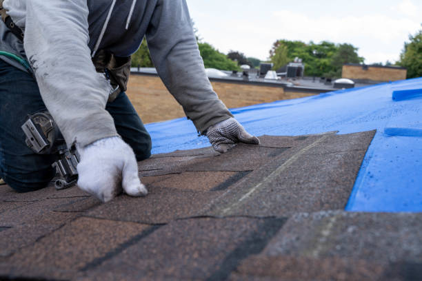Best Commercial Roofing Services  in Shaker Heights, OH