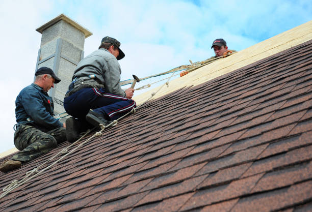 Best Residential Roofing Contractor  in Shaker Heights, OH